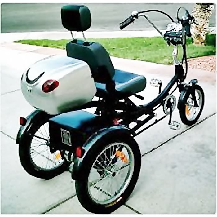 3 wheel trike photo: Transport 3-wheel-electric-trike_ee4d2dfe.jpg